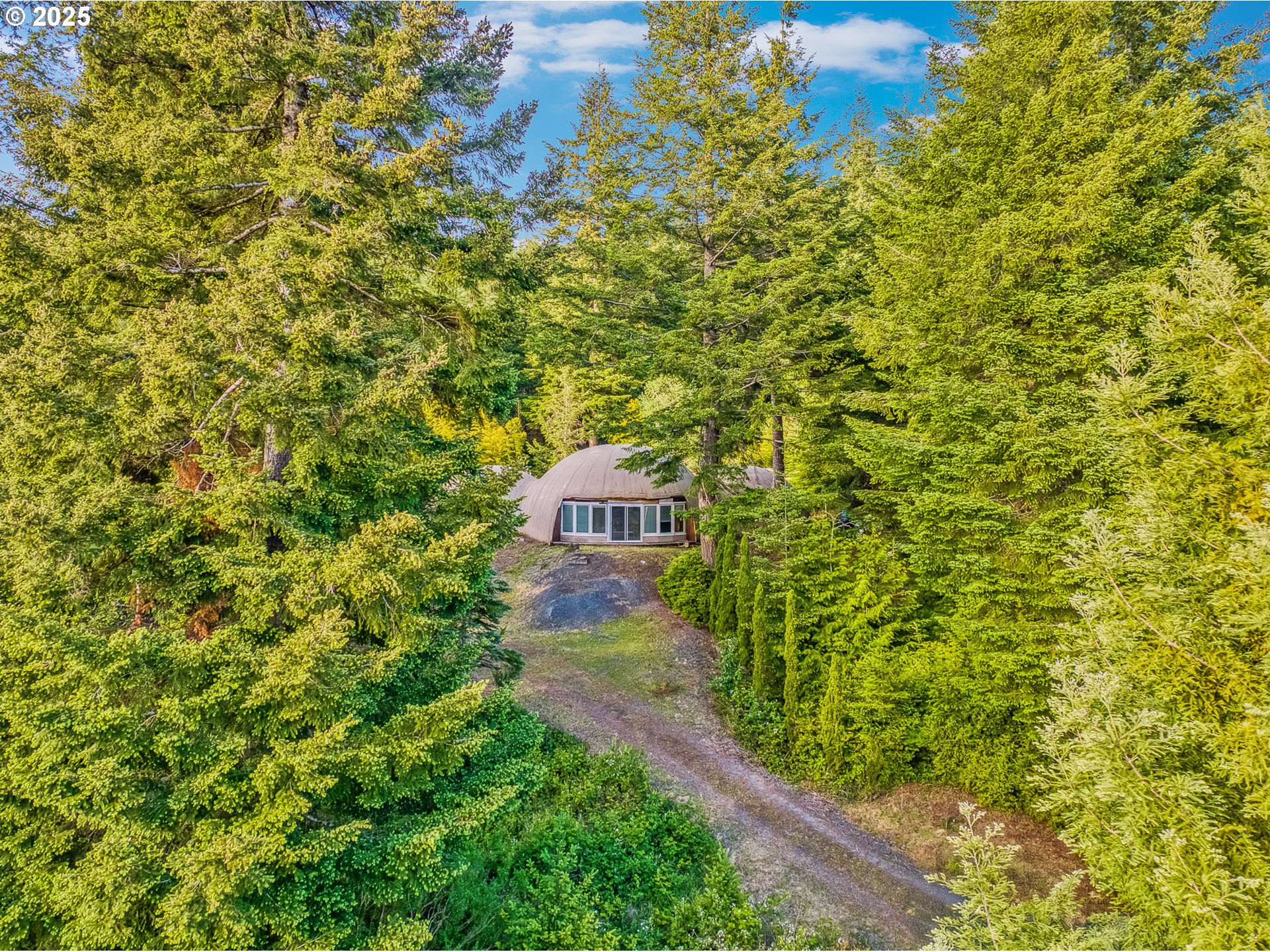 58812 Garden Valley Road Coquille, OR 97423 - Photo 12 of 36 a view of a large yard with plants and large trees
