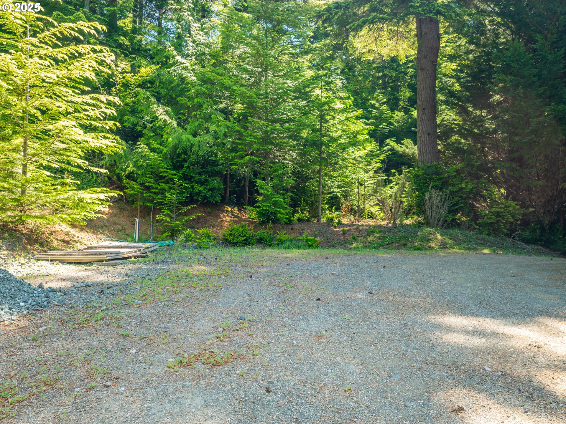 58812 Garden Valley Road Coquille, OR 97423 - Photo 2 of 36 a view of a yard with a tree