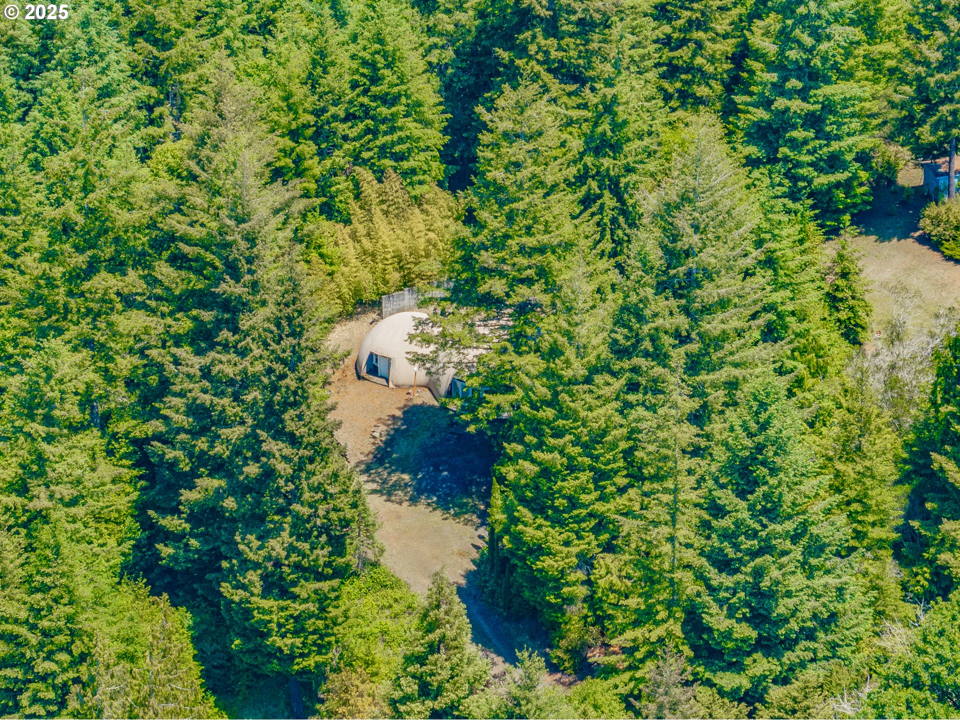 58812 Garden Valley Road Coquille, OR 97423 - Photo 35 of 36 a close up of a plant in a garden