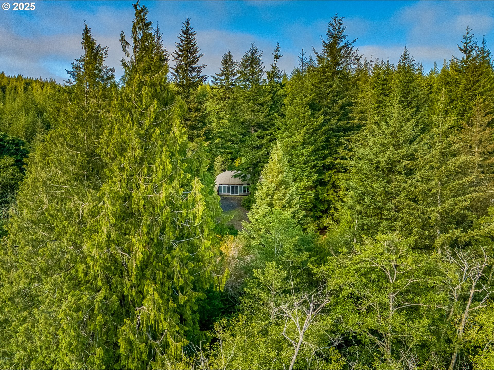 58812 Garden Valley Road Coquille, OR 97423 - Photo 36 of 36 a view of a large yard with plants and large trees