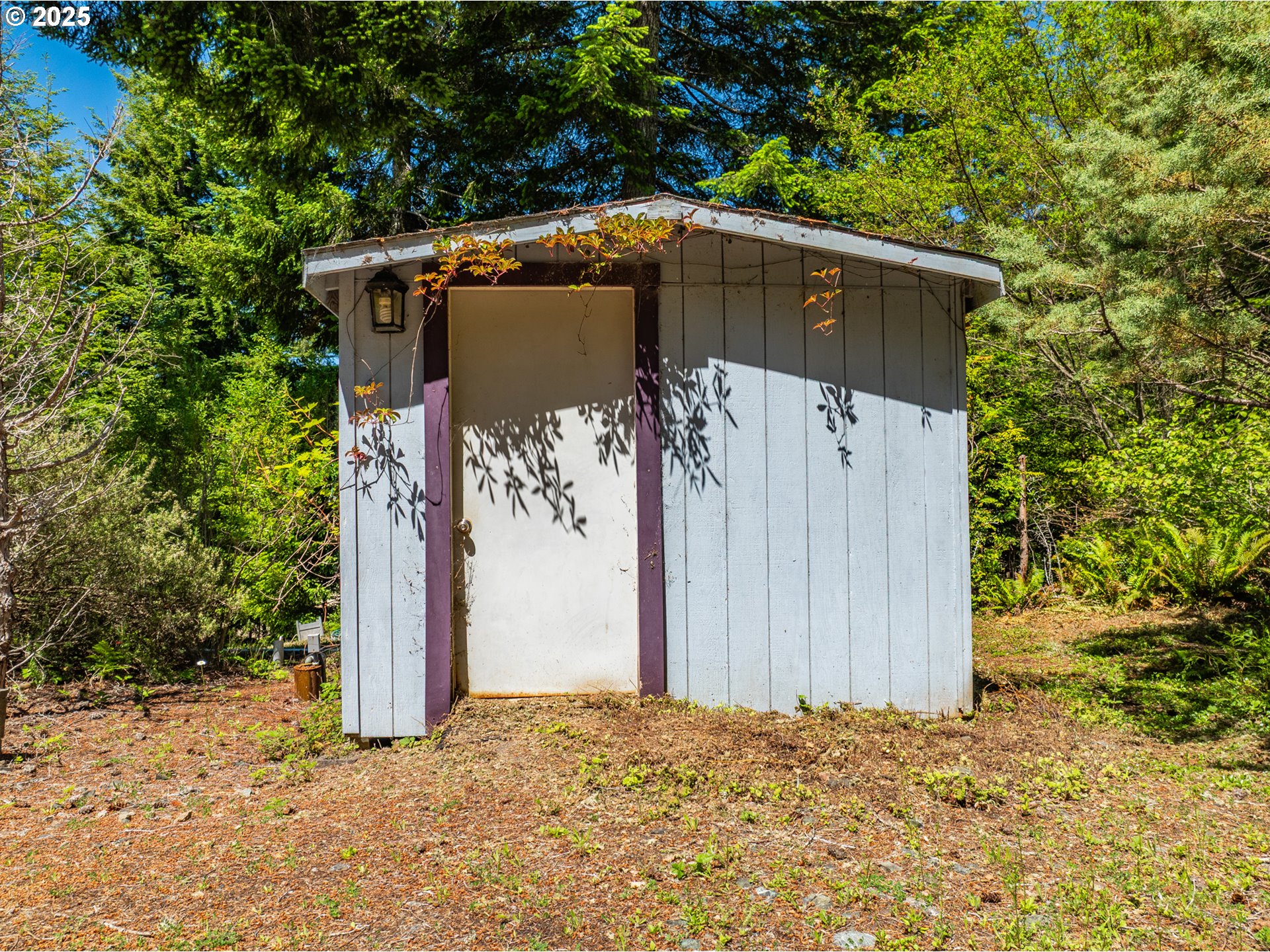 58812 Garden Valley Road Coquille, OR 97423 - Photo 5 of 36 a side view of a house with a tree