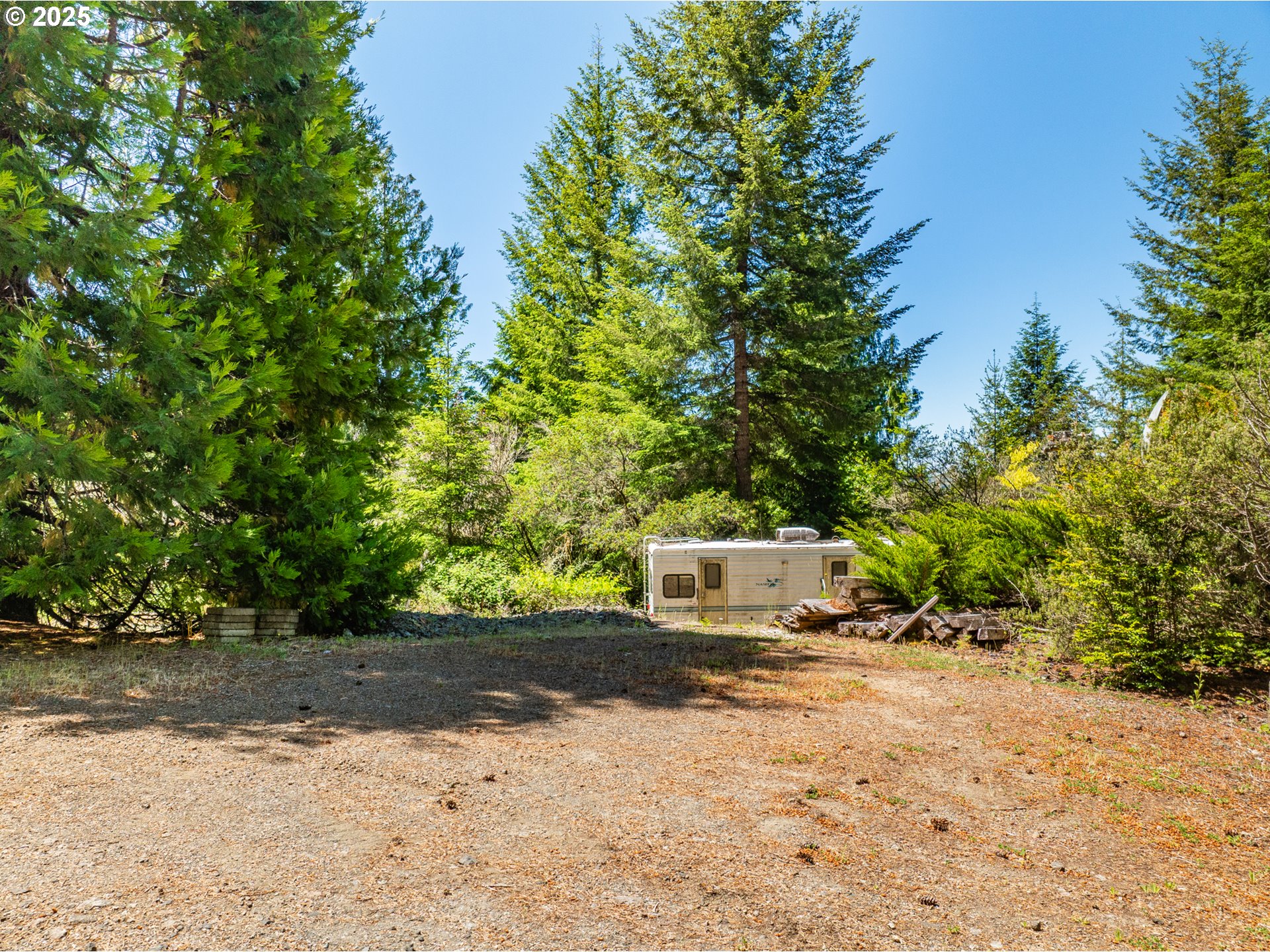 58812 Garden Valley Road Coquille, OR 97423 - Photo 6 of 36 a view of road with large trees