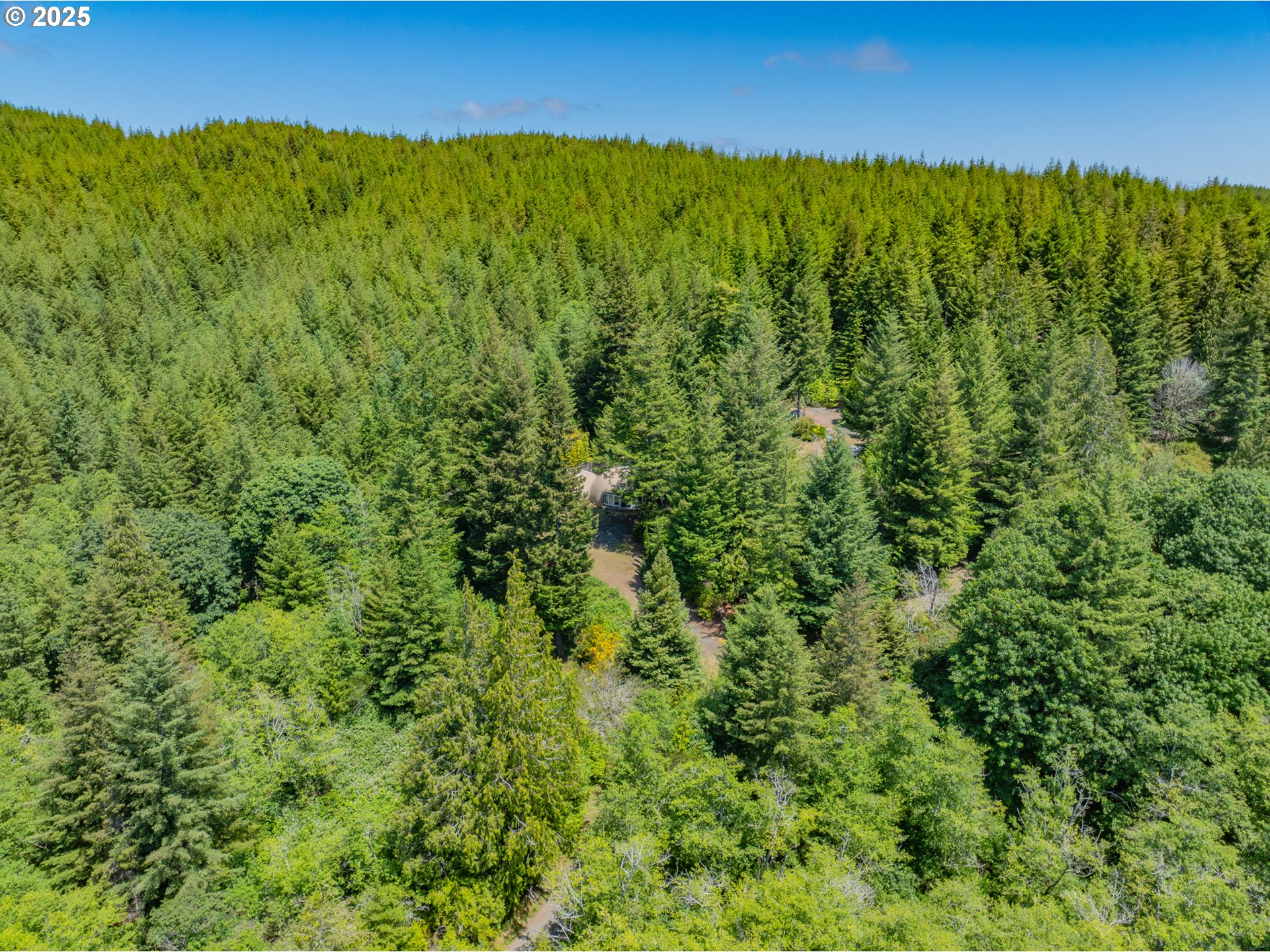 58812 Garden Valley Road Coquille, OR 97423 - Photo 9 of 36 a view of a lush green forest with houses