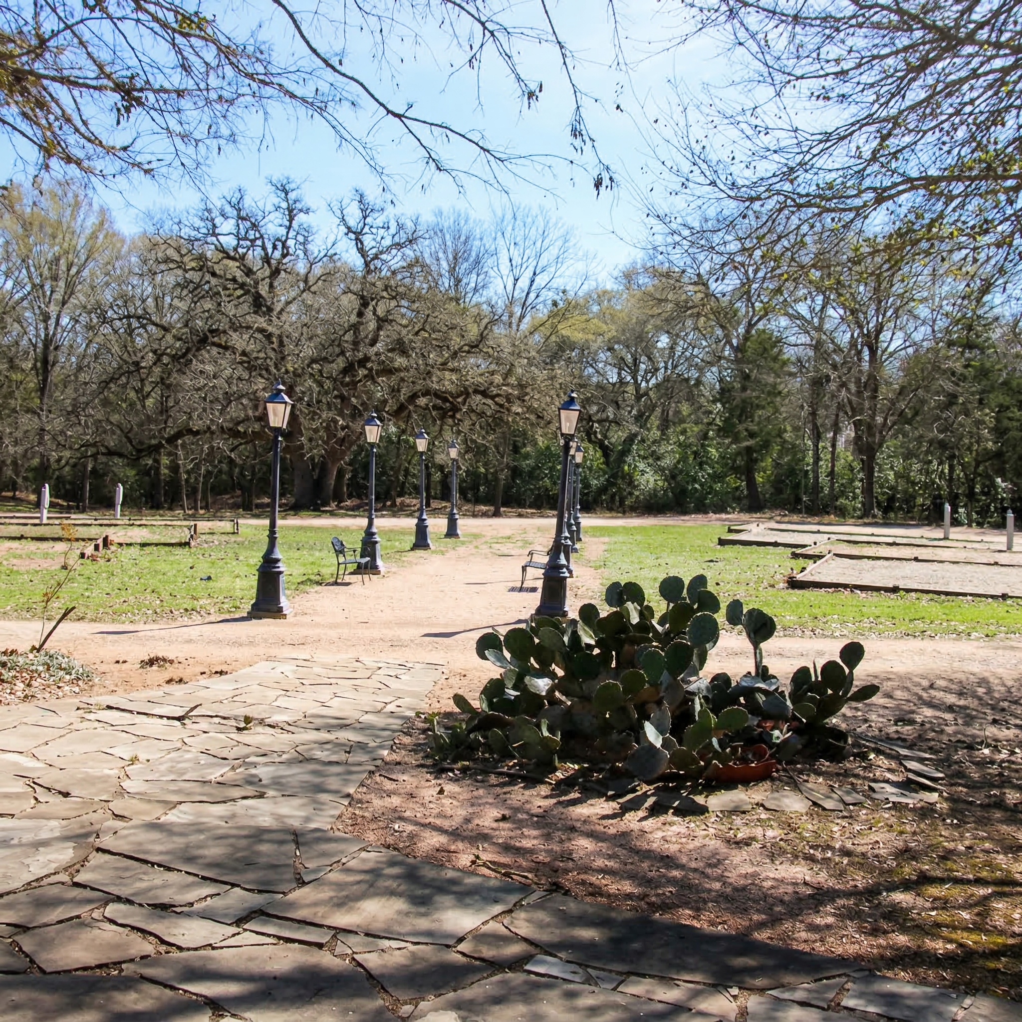 453 North Washington Street Round Top, TX 78954 - Photo 11 of 16 a view of a yard with swings