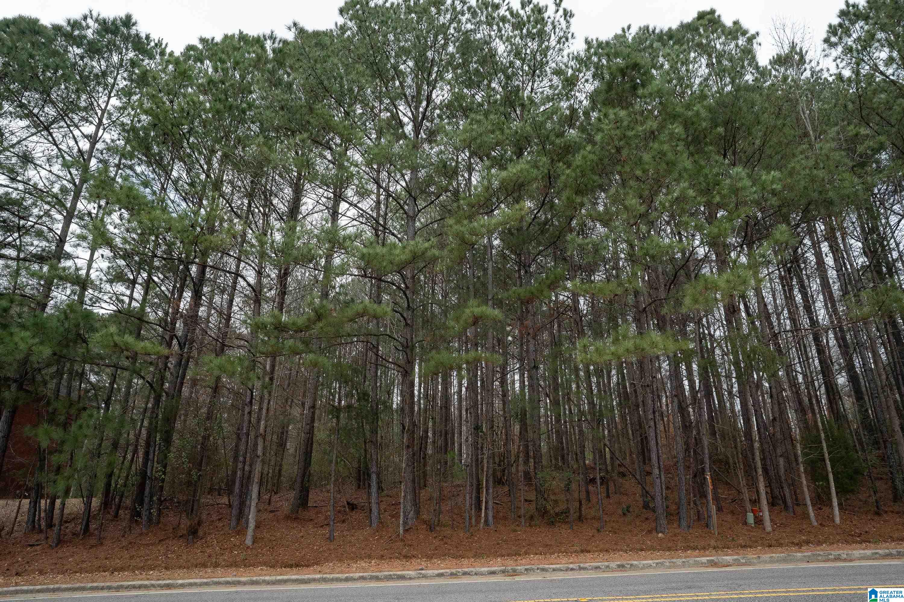 3874 Belmont Road, Unit 5 & 6 Birmingham, AL 35210 - Photo 15 of 15