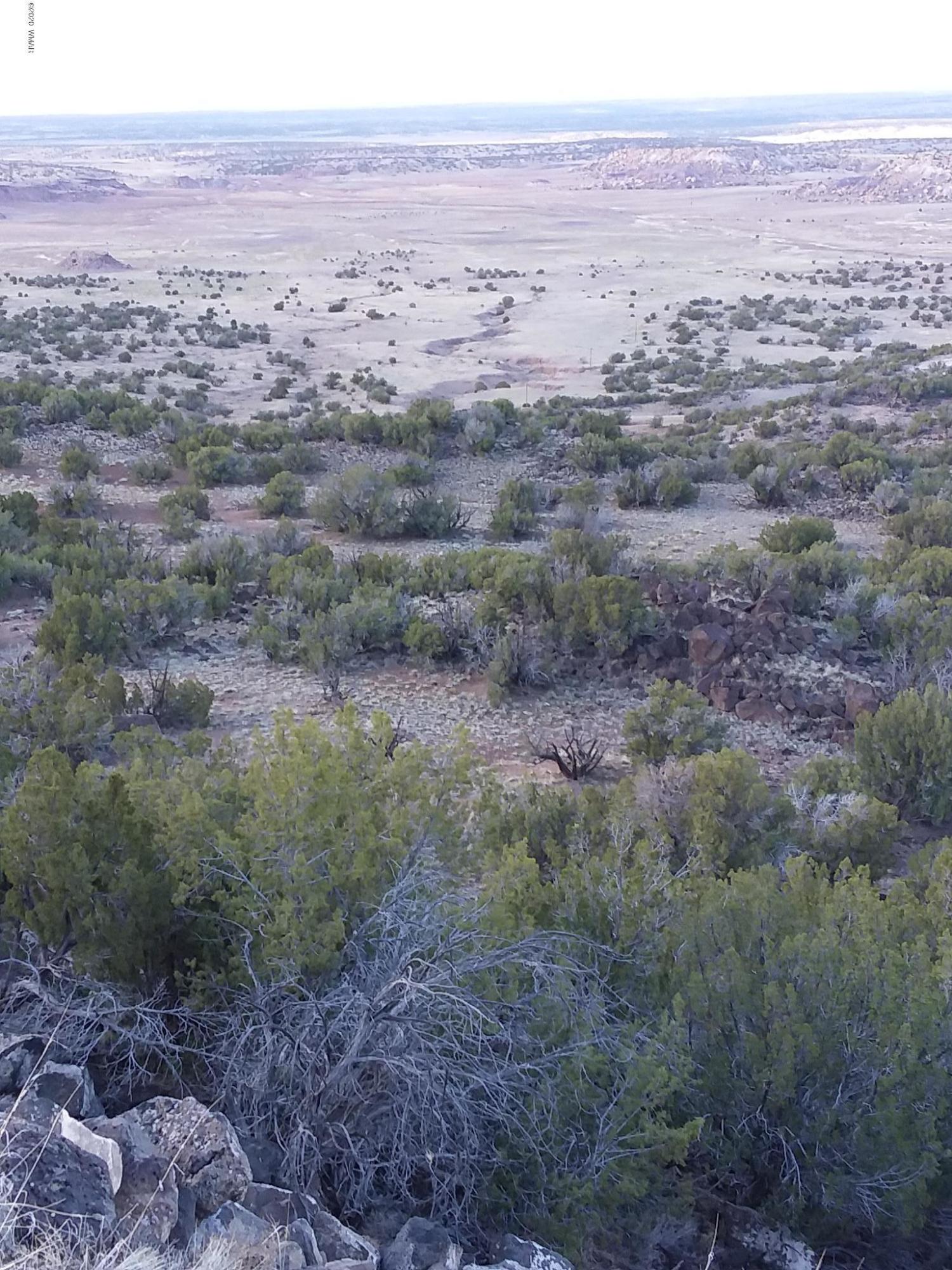 25-27 Elk Valley Ranch St. Johns, AZ 85936 - Photo 11 of 16
