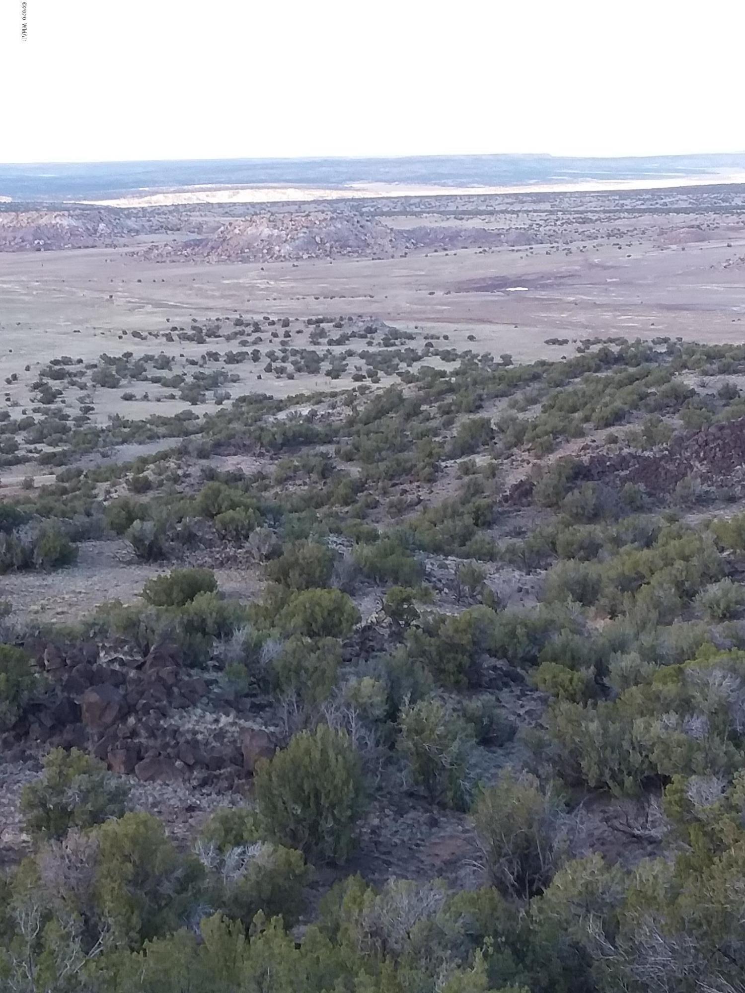 25-27 Elk Valley Ranch St. Johns, AZ 85936 - Photo 15 of 16