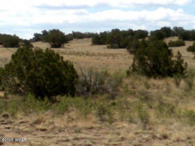25-27 Elk Valley Ranch St. Johns, AZ 85936 - Photo 3 of 16