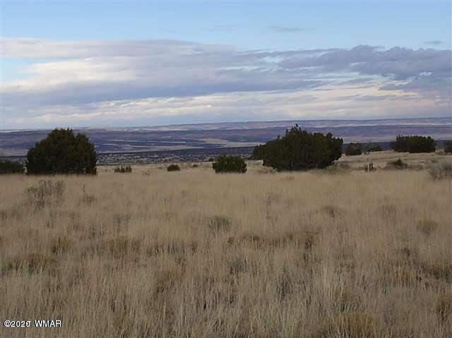 25-27 Elk Valley Ranch St. Johns, AZ 85936 - Photo 4 of 16