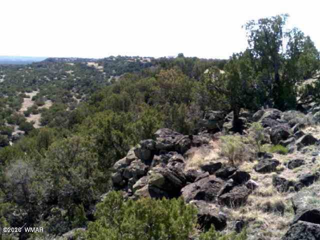 25-27 Elk Valley Ranch St. Johns, AZ 85936 - Photo 7 of 16