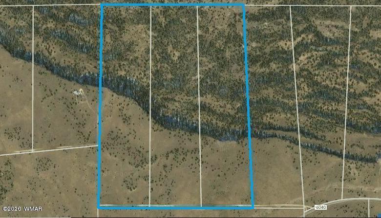 25-27 Elk Valley Ranch St. Johns, AZ 85936 - Photo 9 of 16