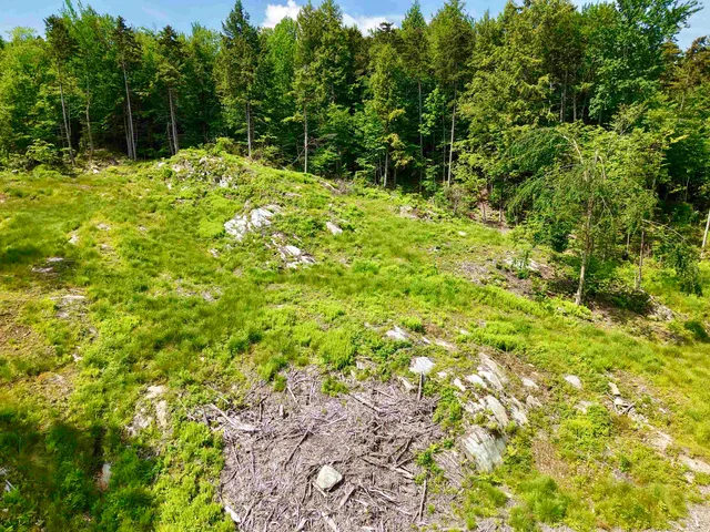 $425,000 | 0 Leland Farm Road, Unit B, Middlesex, VT 05602