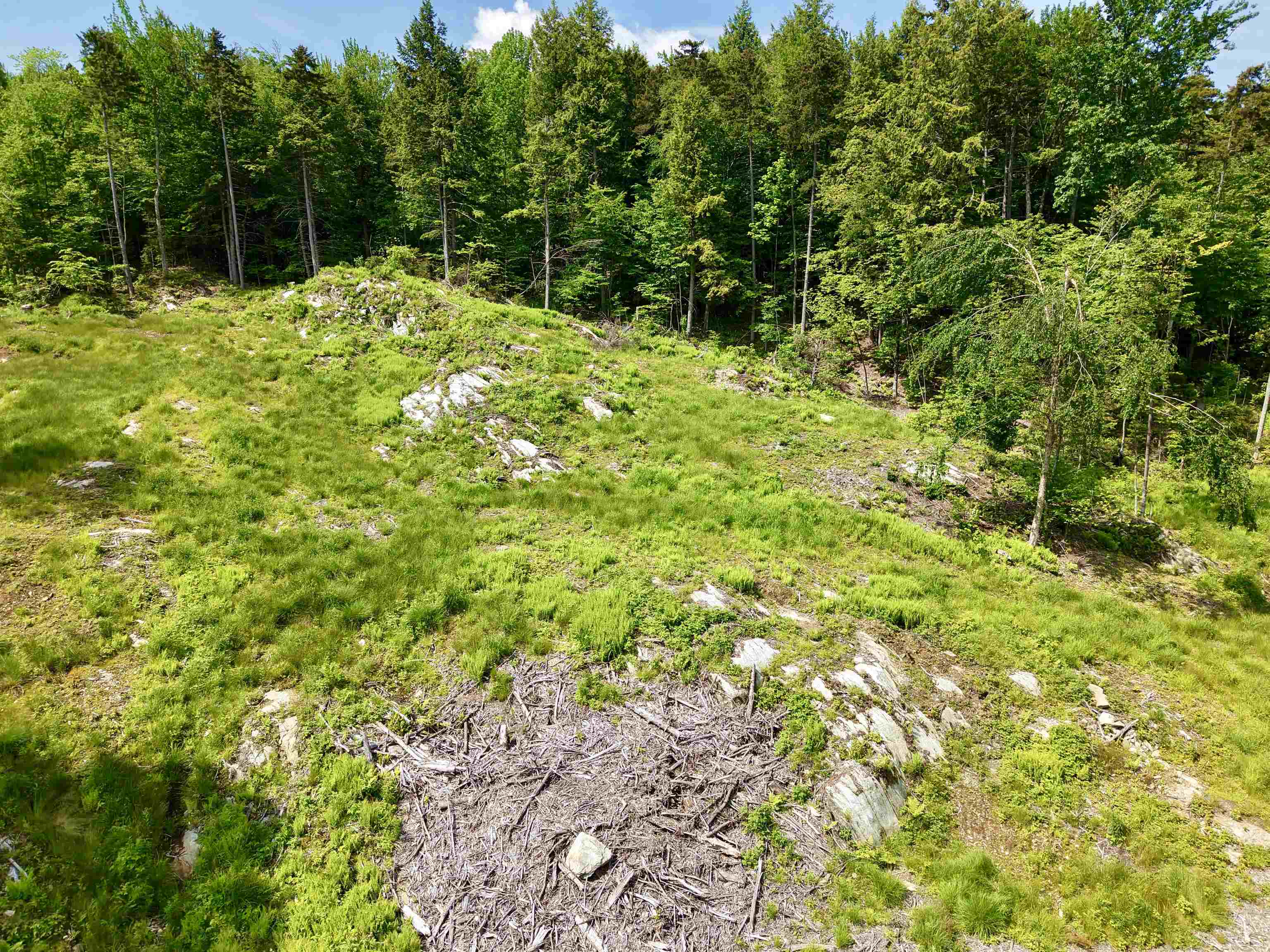 0 Leland Farm Road, Unit B Middlesex, VT 05602 - Photo 14 of 18