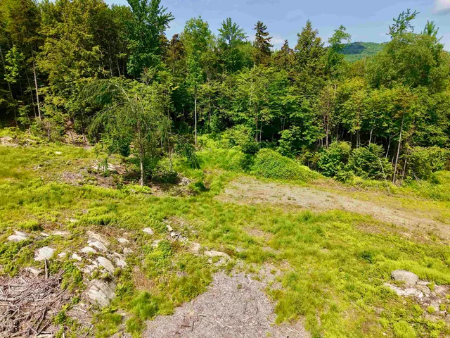 $425,000 | 0 Leland Farm Road, Unit B, Middlesex, VT 05602