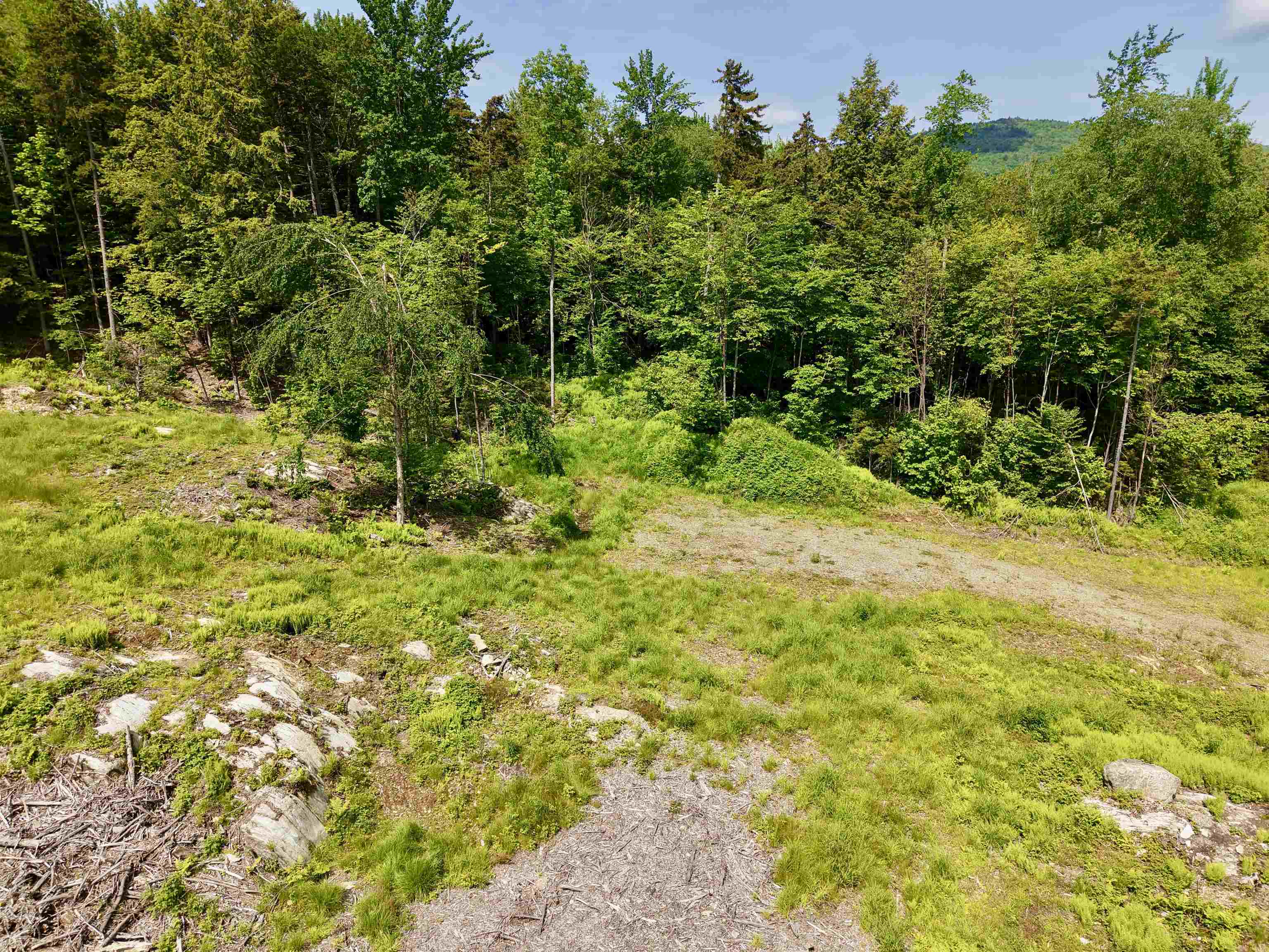 0 Leland Farm Road, Unit B Middlesex, VT 05602 - Photo 16 of 18