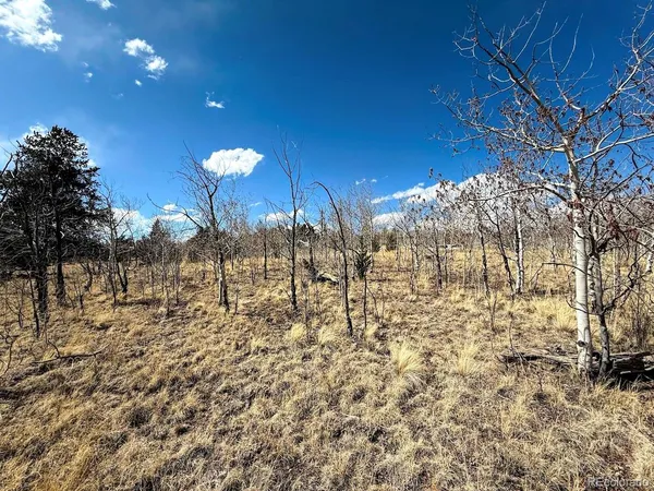 $83,000 | 1238 Overland Circle, Jefferson, CO 80456