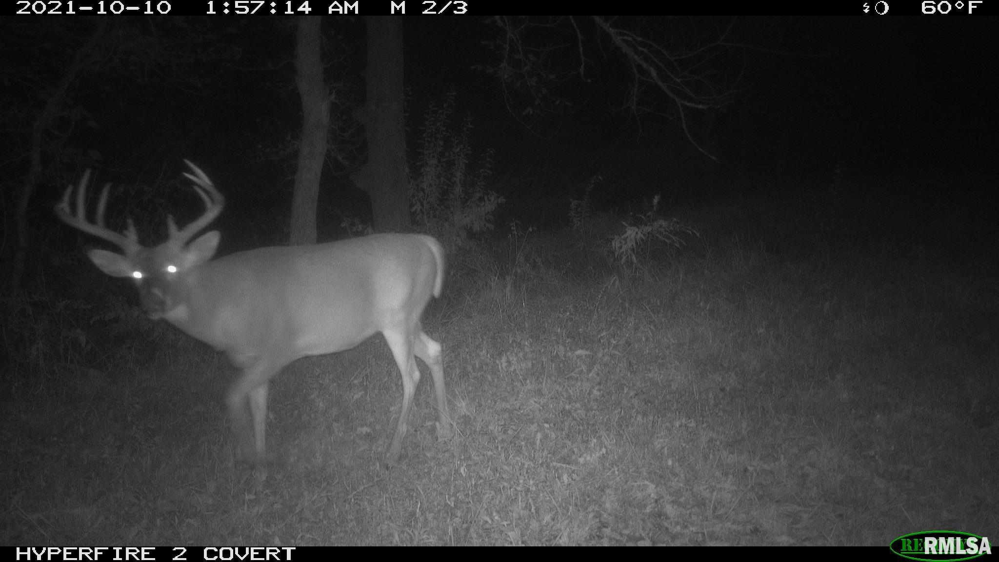 0 North Maple Tree Road Ipava, IL 61441 - Photo 12 of 43