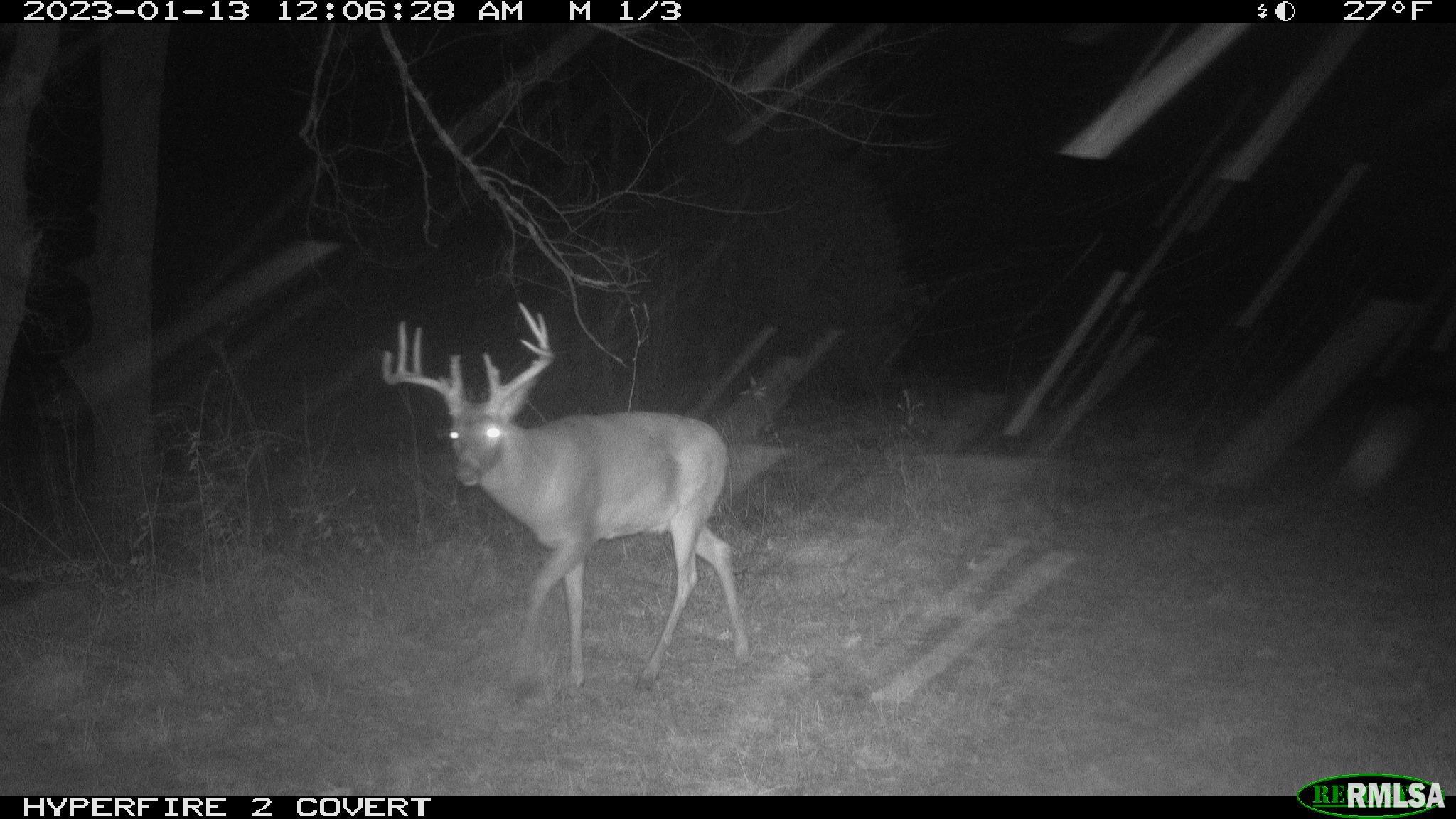 0 North Maple Tree Road Ipava, IL 61441 - Photo 16 of 43