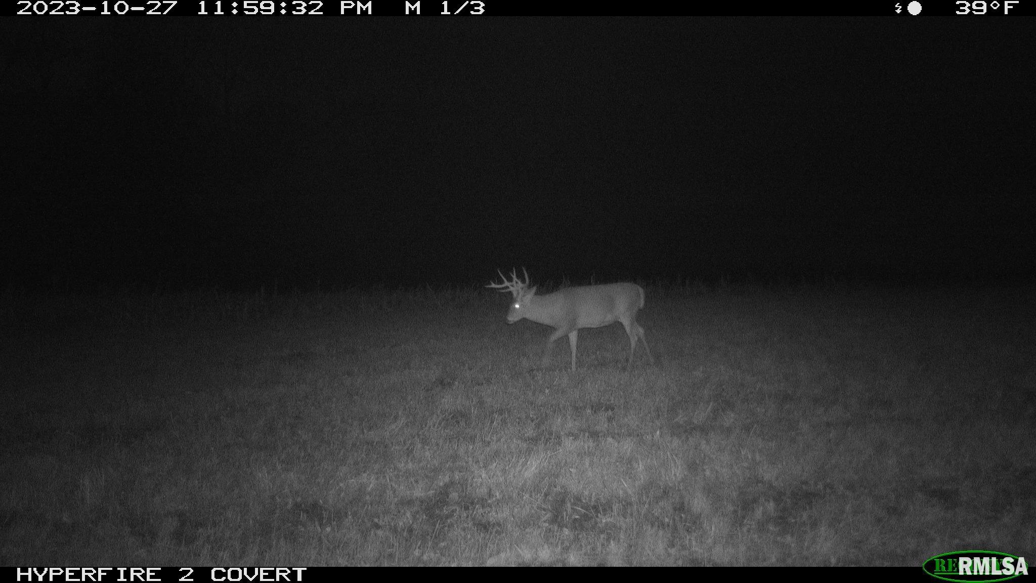 0 North Maple Tree Road Ipava, IL 61441 - Photo 17 of 43
