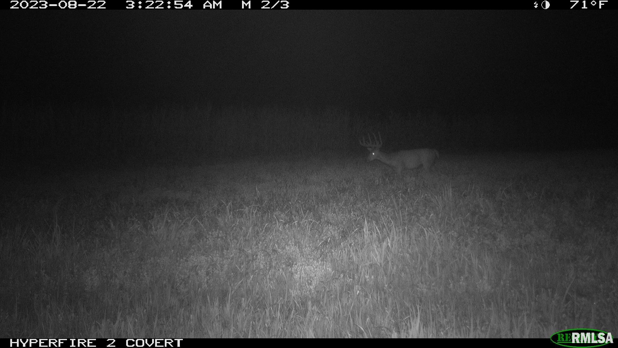 0 North Maple Tree Road Ipava, IL 61441 - Photo 18 of 43