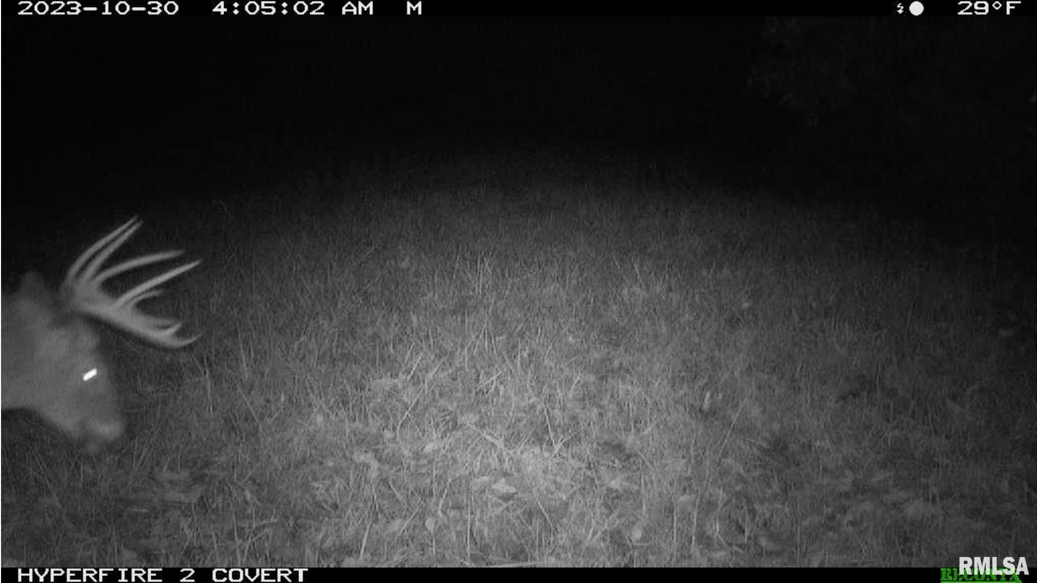 0 North Maple Tree Road Ipava, IL 61441 - Photo 22 of 43