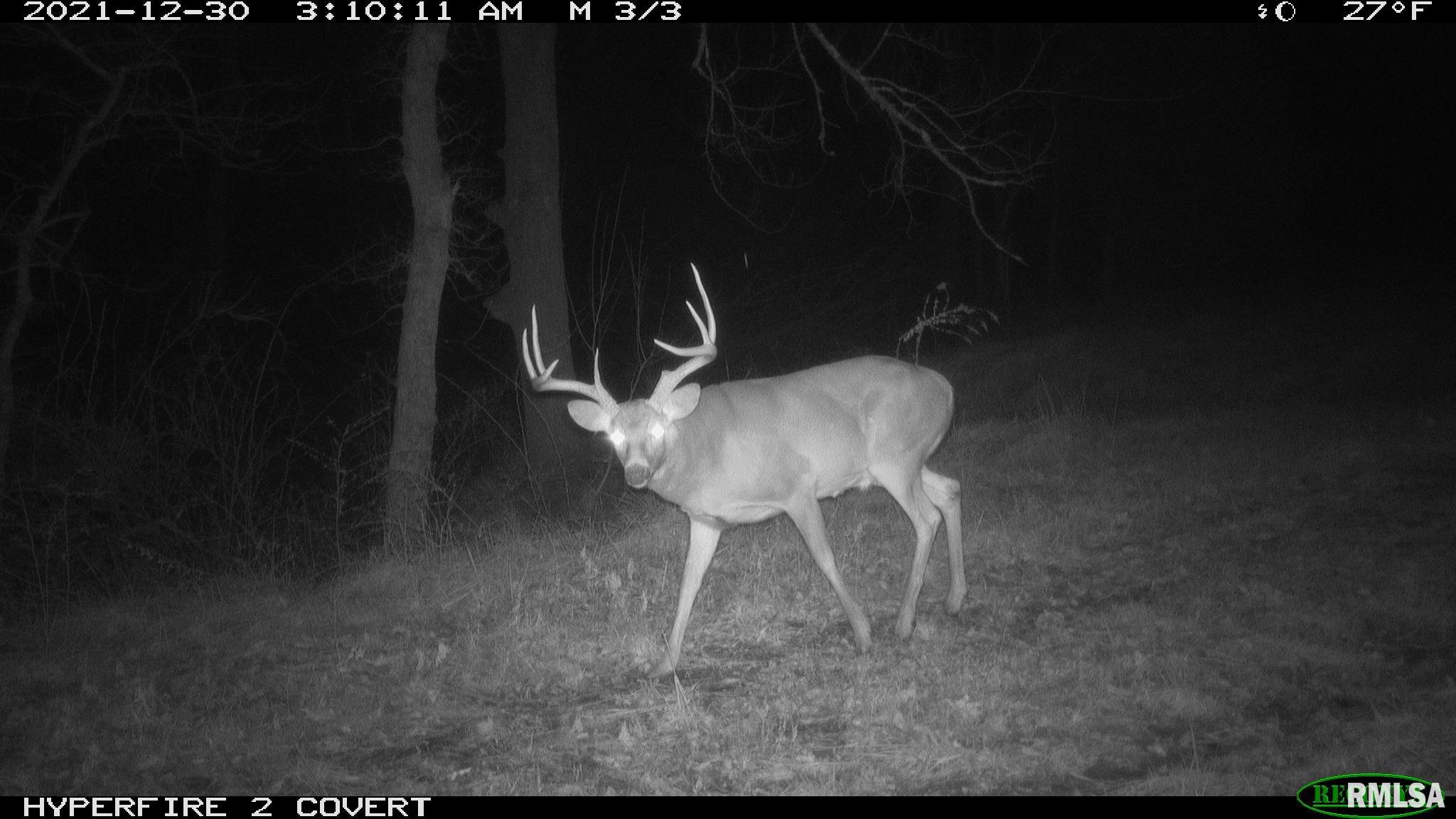 0 North Maple Tree Road Ipava, IL 61441 - Photo 24 of 43