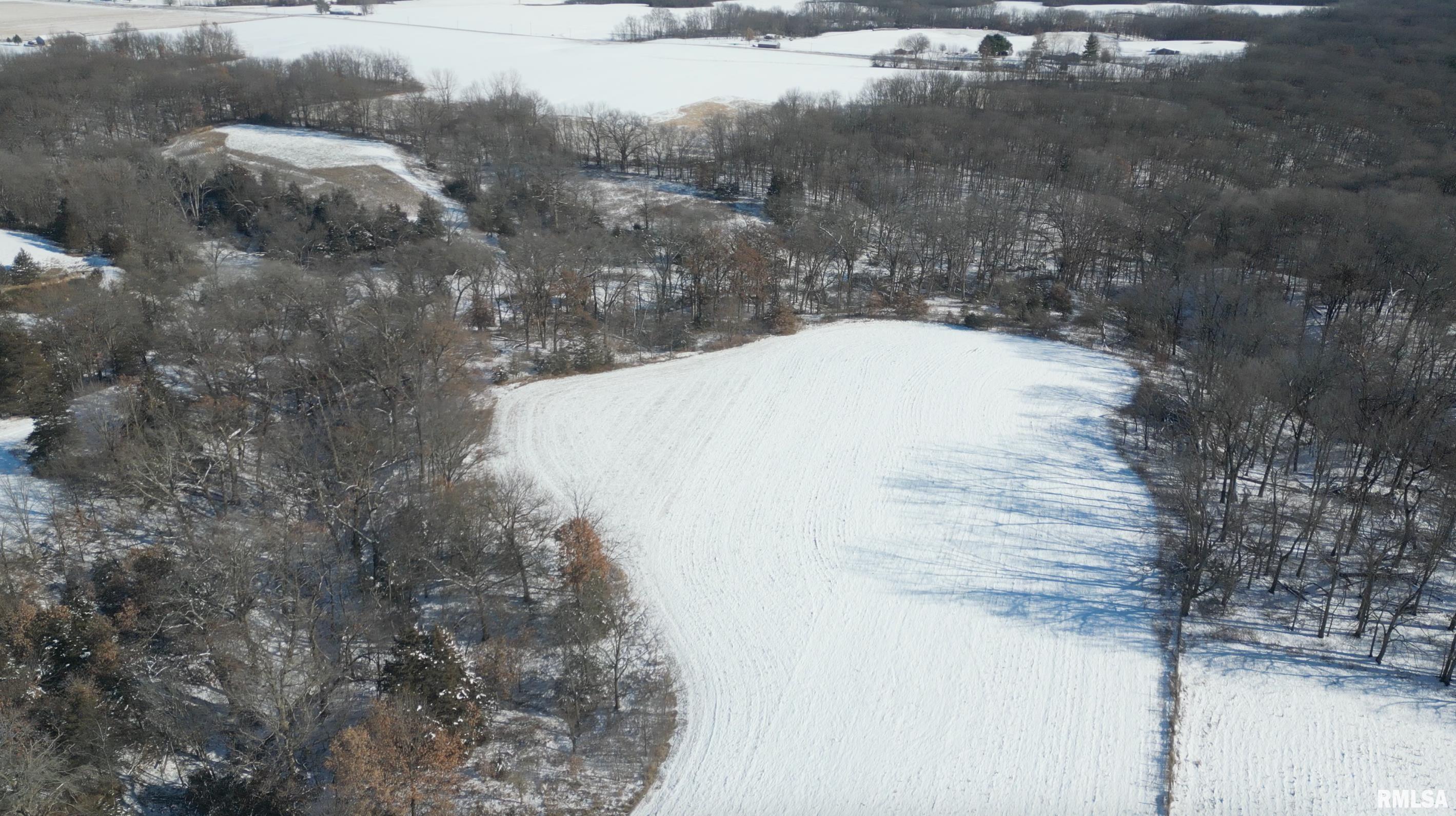 0 North Maple Tree Road Ipava, IL 61441 - Photo 27 of 43