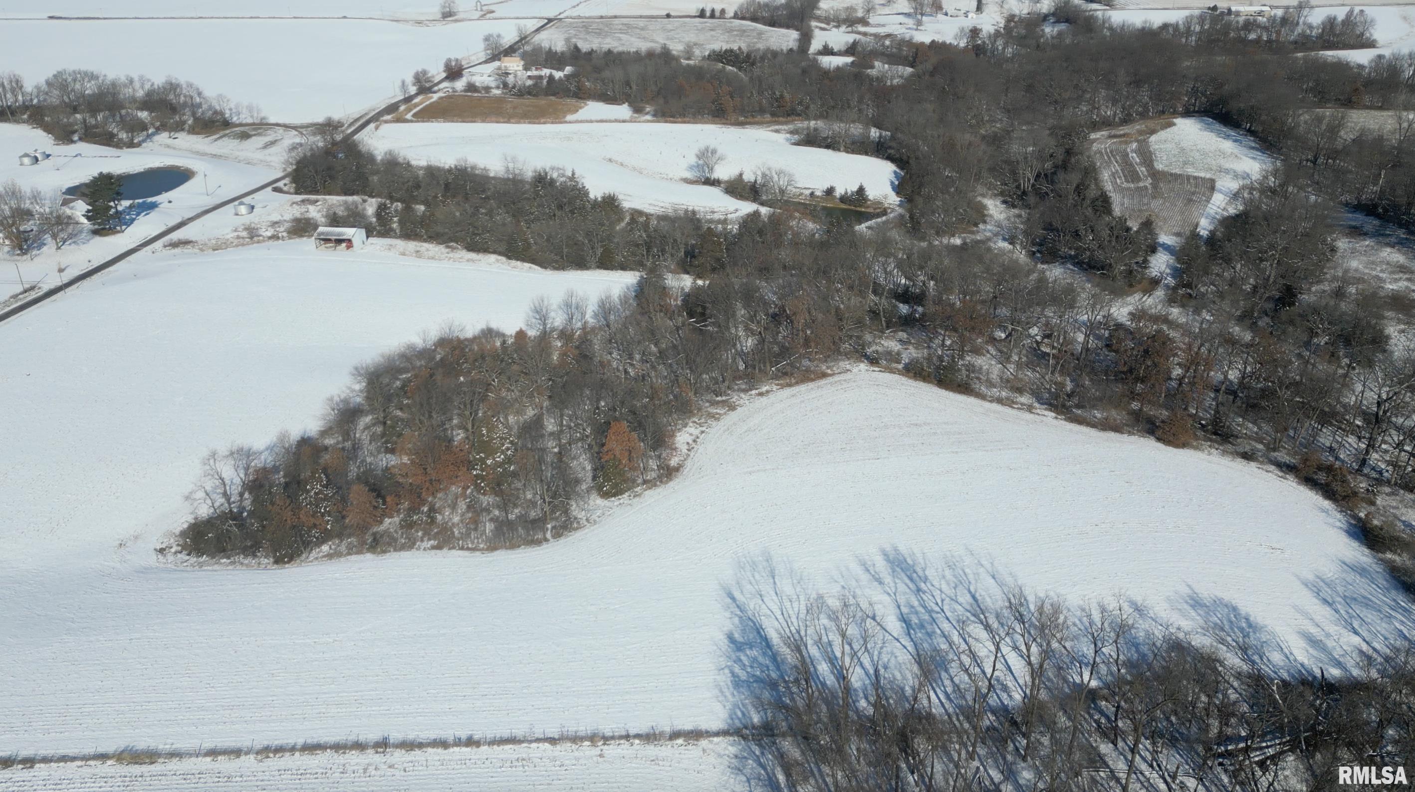 0 North Maple Tree Road Ipava, IL 61441 - Photo 28 of 43