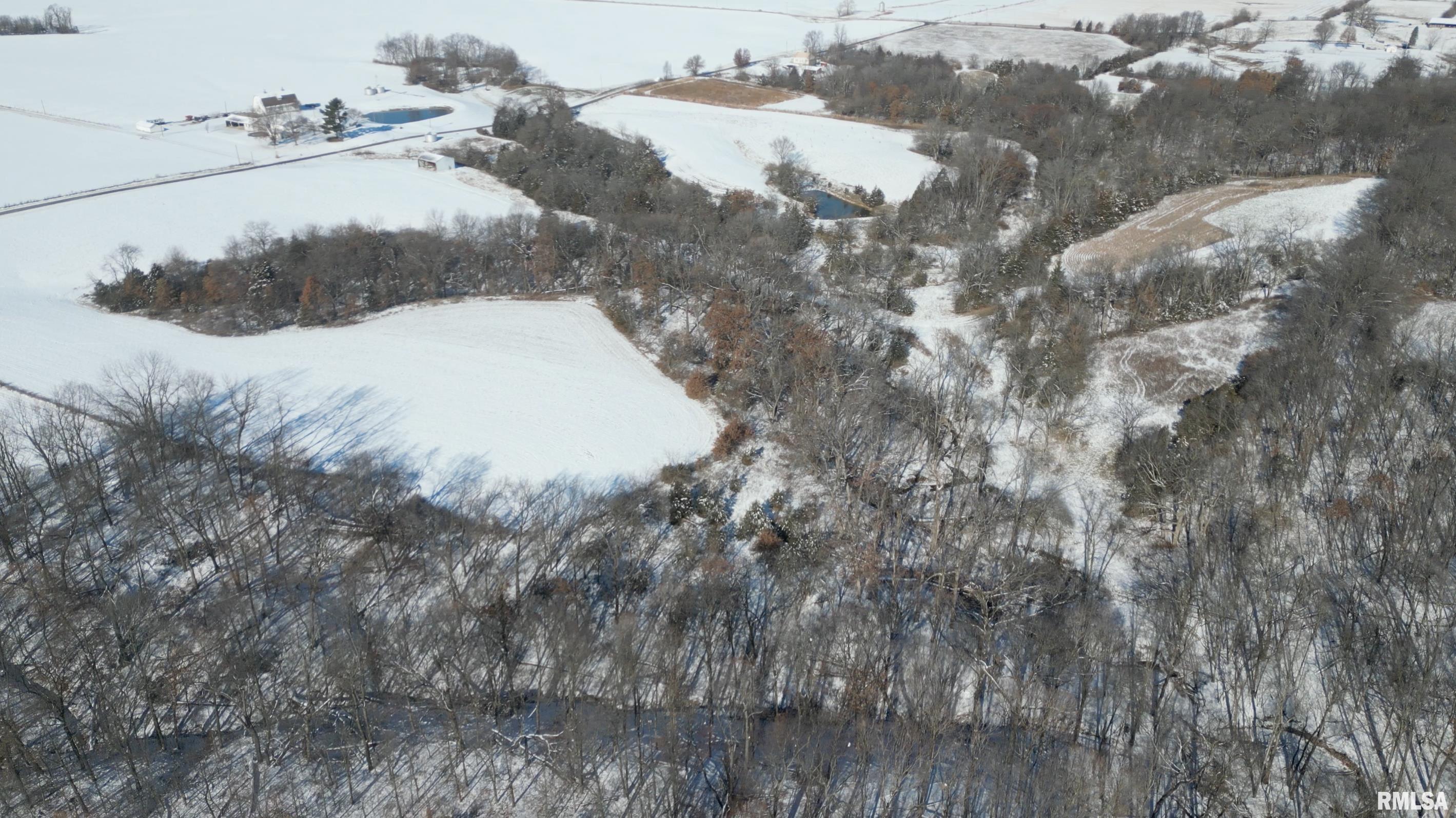 0 North Maple Tree Road Ipava, IL 61441 - Photo 3 of 43
