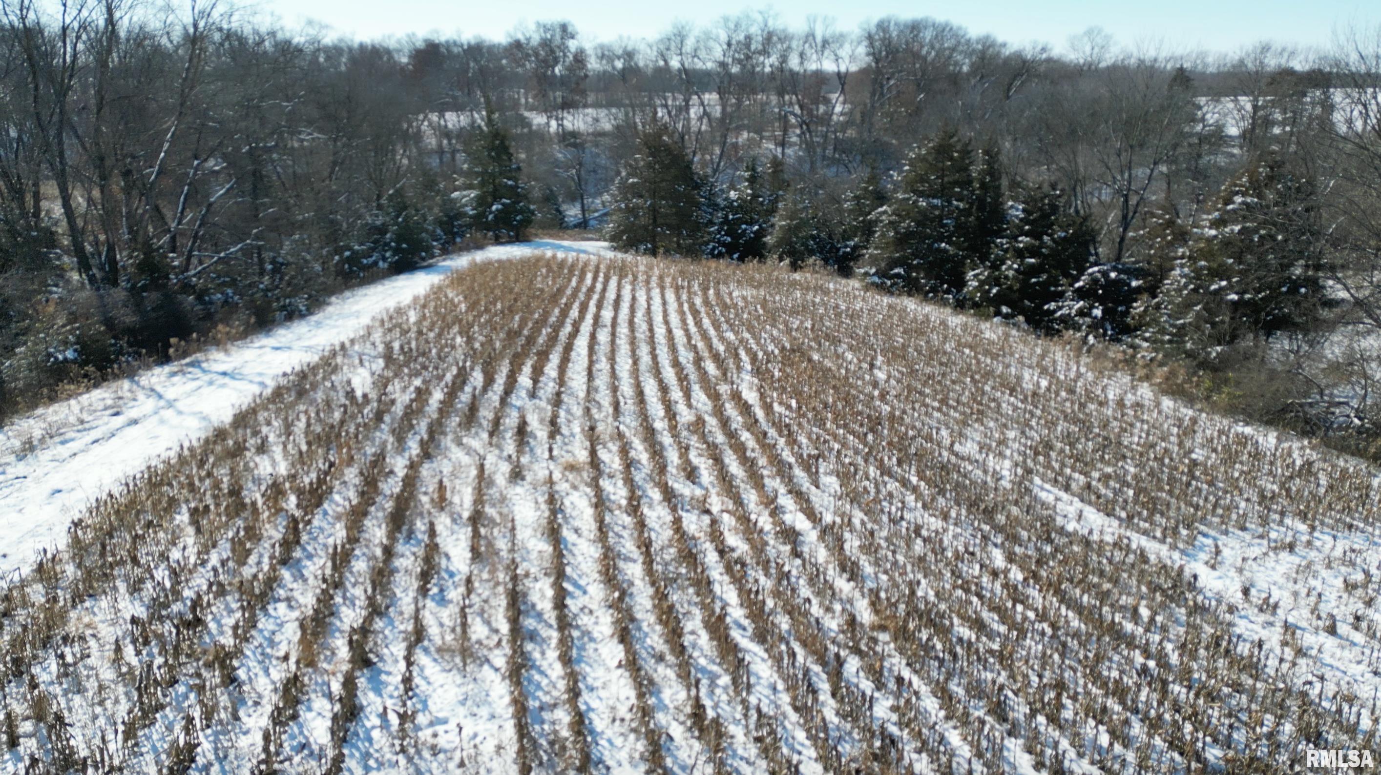 0 North Maple Tree Road Ipava, IL 61441 - Photo 31 of 43