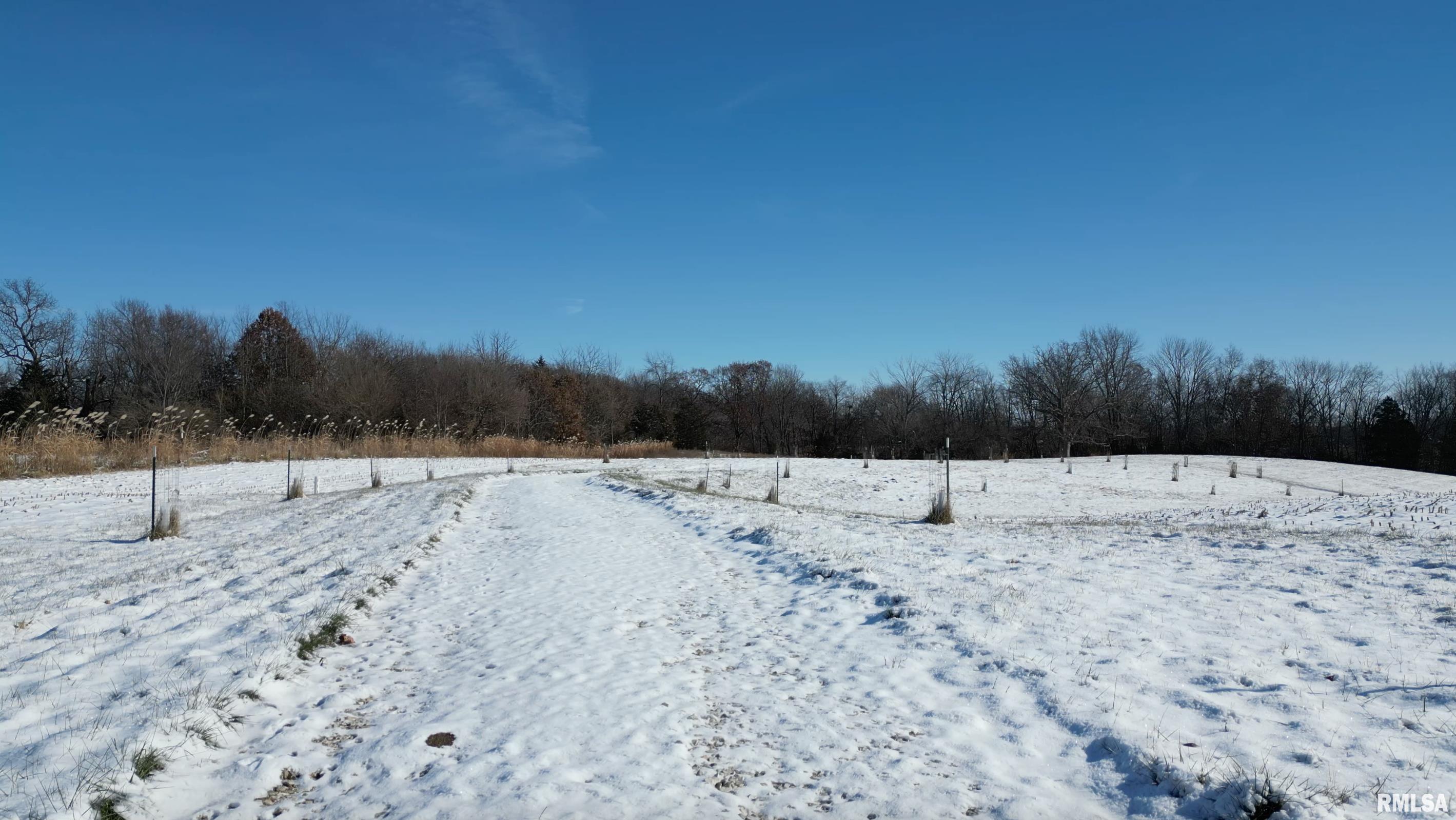 0 North Maple Tree Road Ipava, IL 61441 - Photo 33 of 43