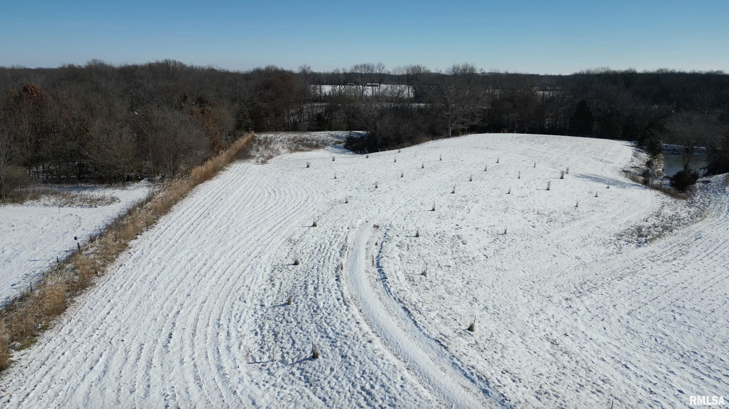 0 North Maple Tree Road Ipava, IL 61441 - Photo 34 of 43