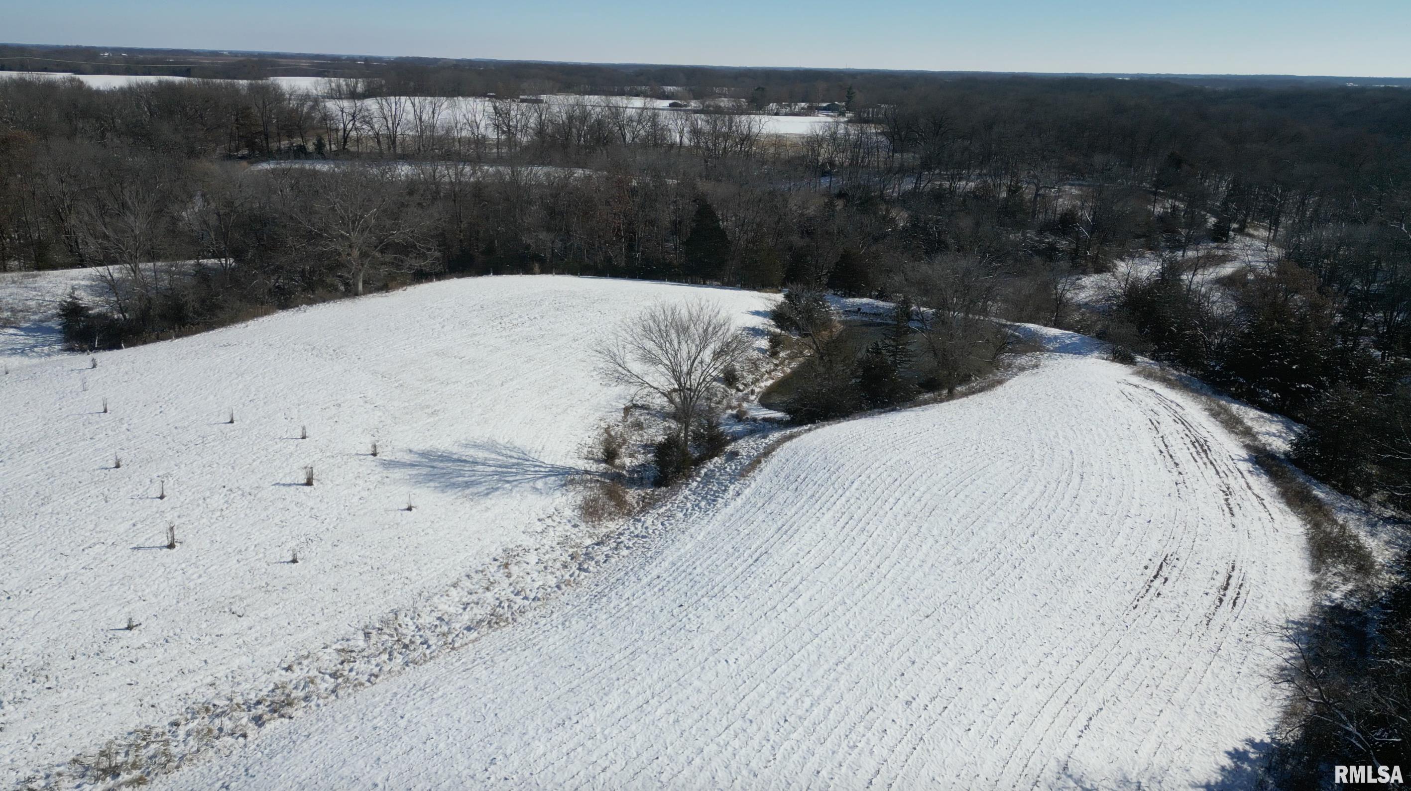0 North Maple Tree Road Ipava, IL 61441 - Photo 35 of 43