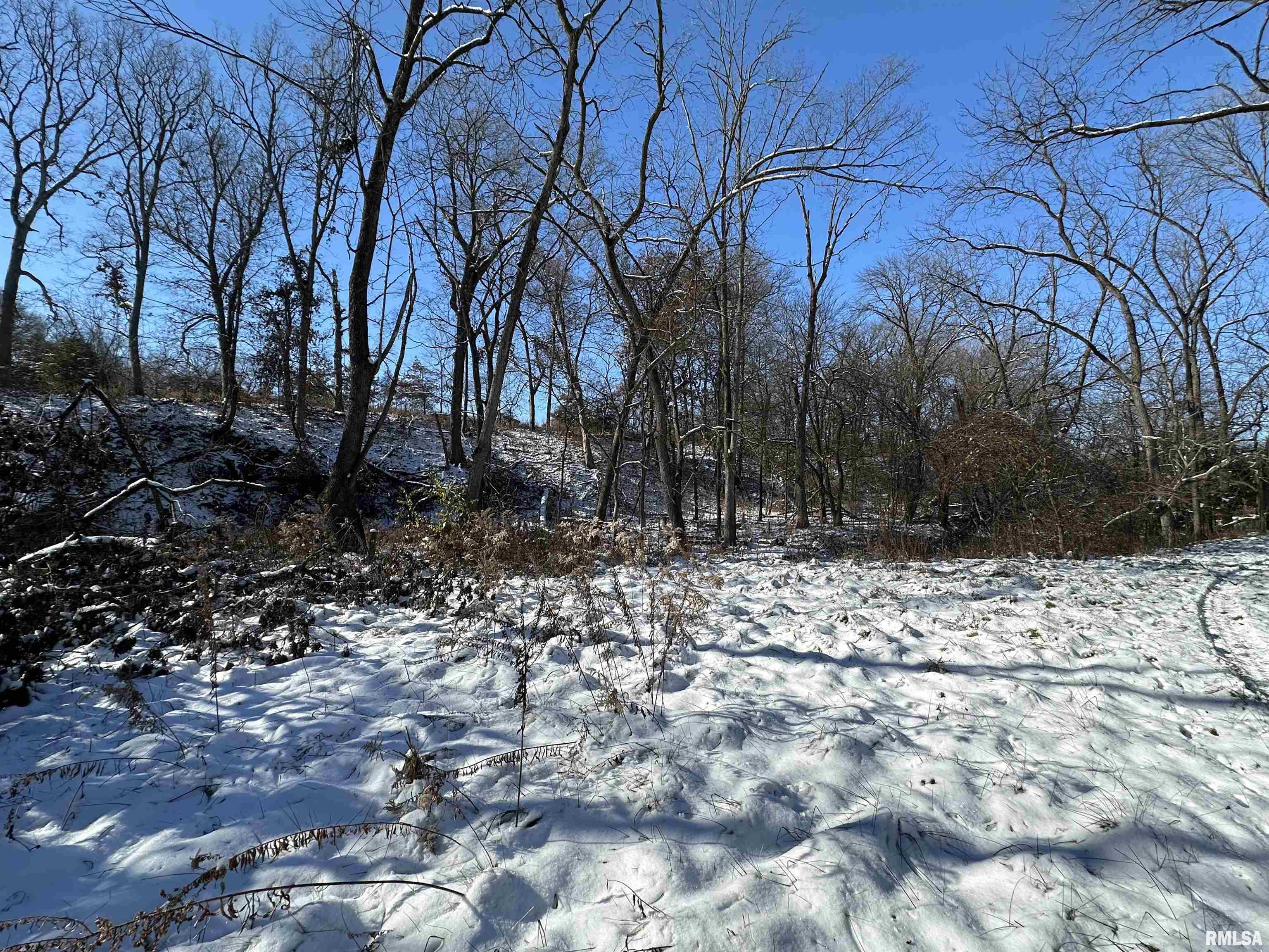 0 North Maple Tree Road Ipava, IL 61441 - Photo 37 of 43