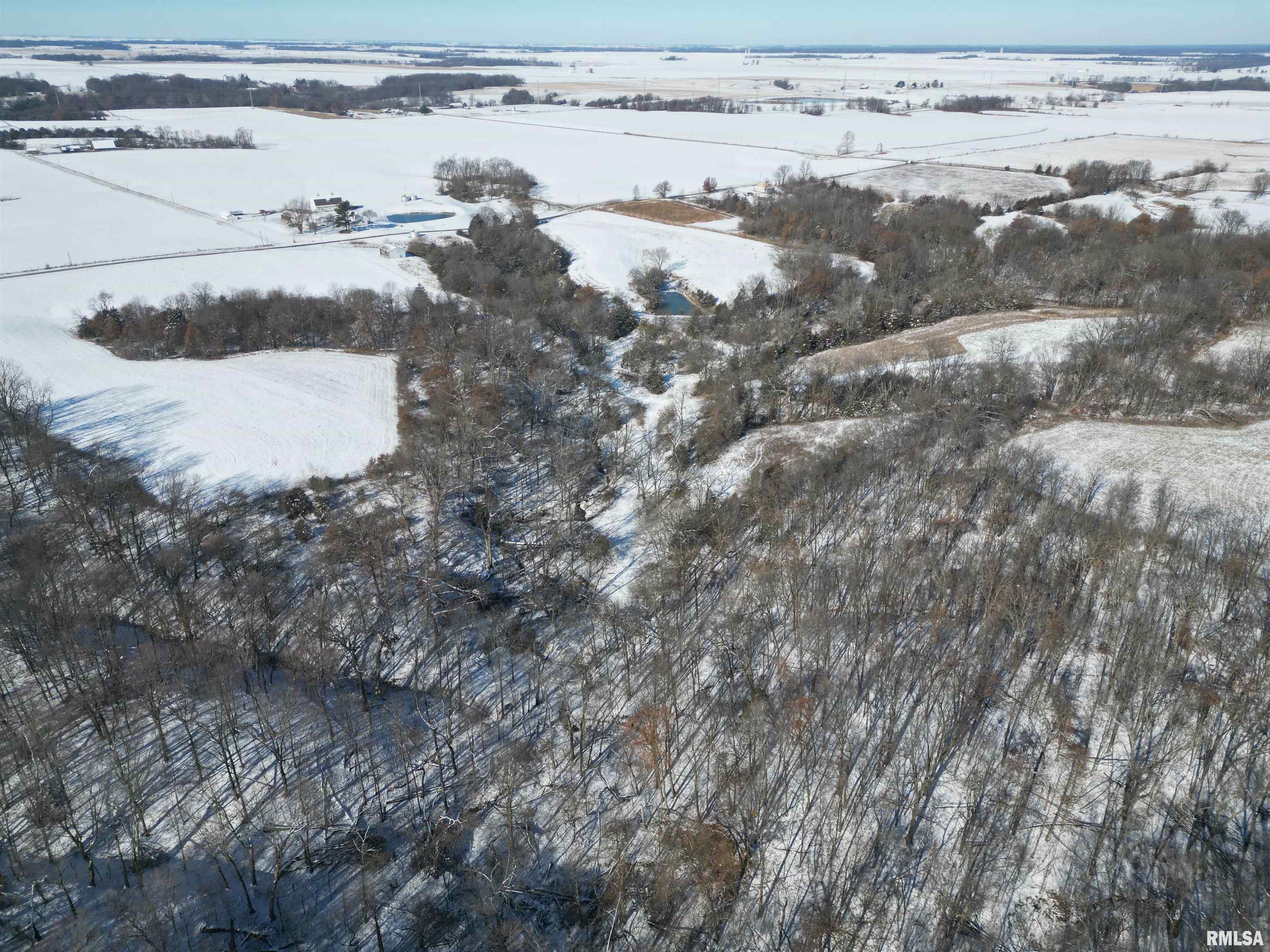 0 North Maple Tree Road Ipava, IL 61441 - Photo 4 of 43