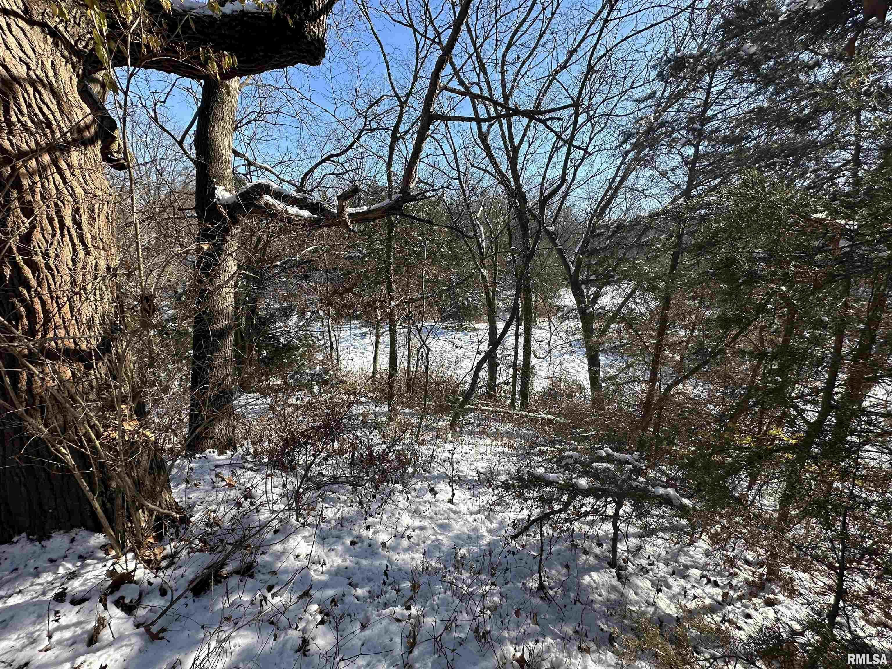 0 North Maple Tree Road Ipava, IL 61441 - Photo 42 of 43
