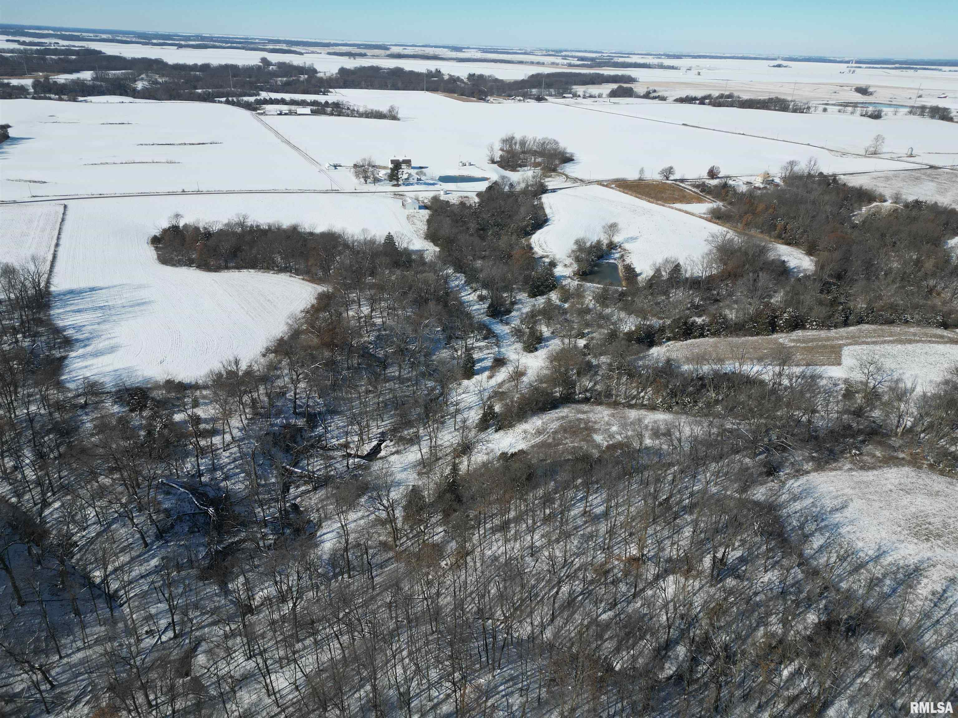 0 North Maple Tree Road Ipava, IL 61441 - Photo 5 of 43