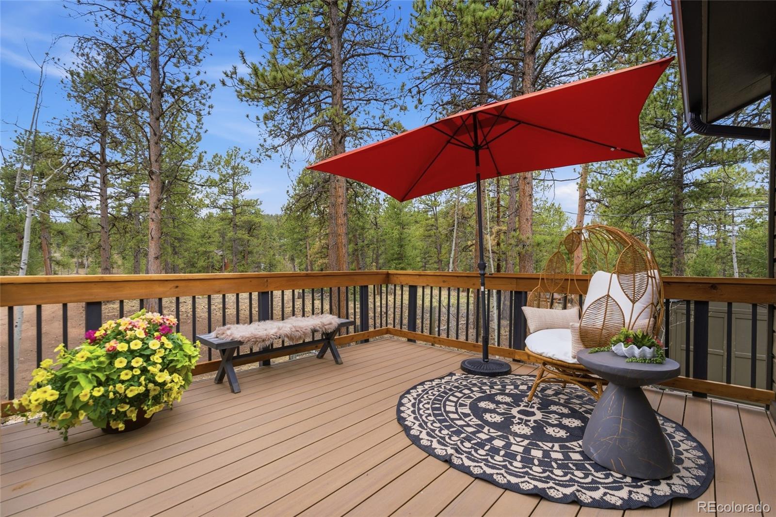 33691 Nova Road Pine, CO 80470 - Photo 3 of 41