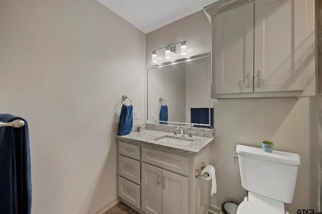 a bathroom with a sink vanity and toilet