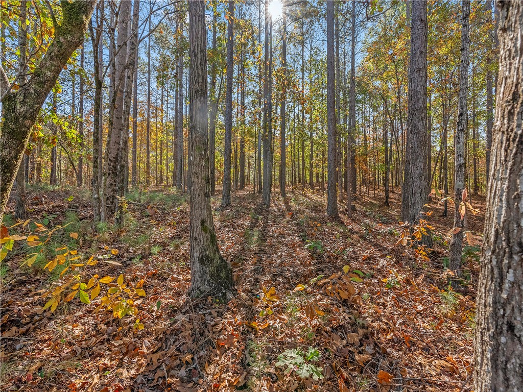 Lot 83 Waterside Crossing Seneca, SC 29672 - Photo 12 of 19