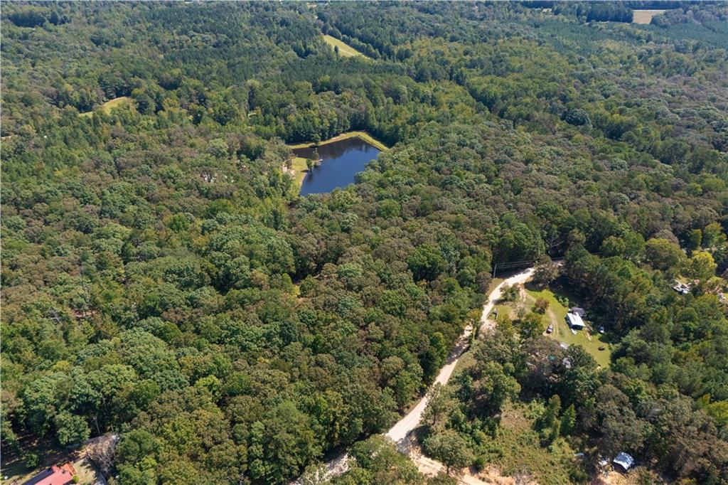 661 Wildcat Road Buchanan, GA 30113 - Photo 15 of 51 a view of a house with a yard and large trees