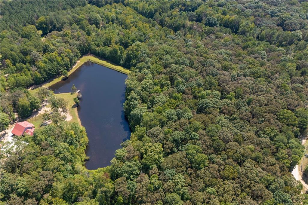 661 Wildcat Road Buchanan, GA 30113 - Photo 16 of 51 an aerial view of a house