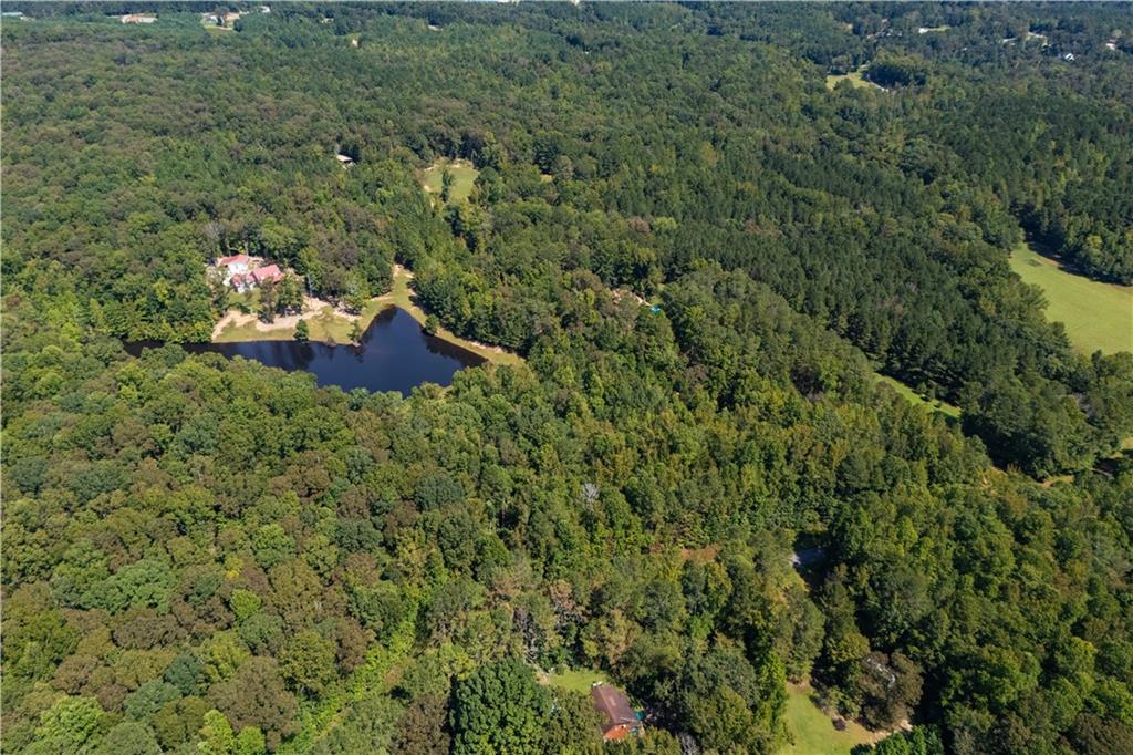 661 Wildcat Road Buchanan, GA 30113 - Photo 19 of 51 a view of a house with a yard
