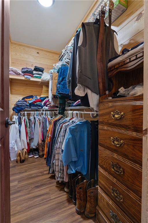 661 Wildcat Road Buchanan, GA 30113 - Photo 33 of 51 a view of walk in closet with clothes and shoes