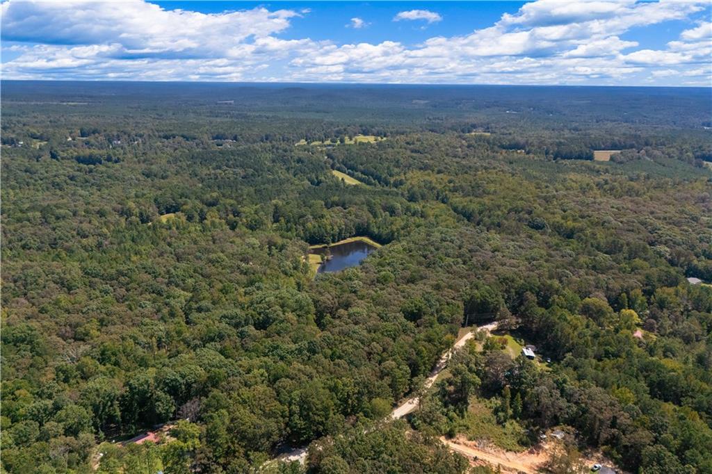 661 Wildcat Road Buchanan, GA 30113 - Photo 49 of 51 a view of a city with lush green forest