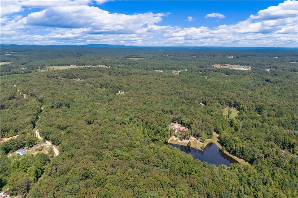 661 Wildcat Road Buchanan, GA 30113 - Photo 50 of 51 a view of a city