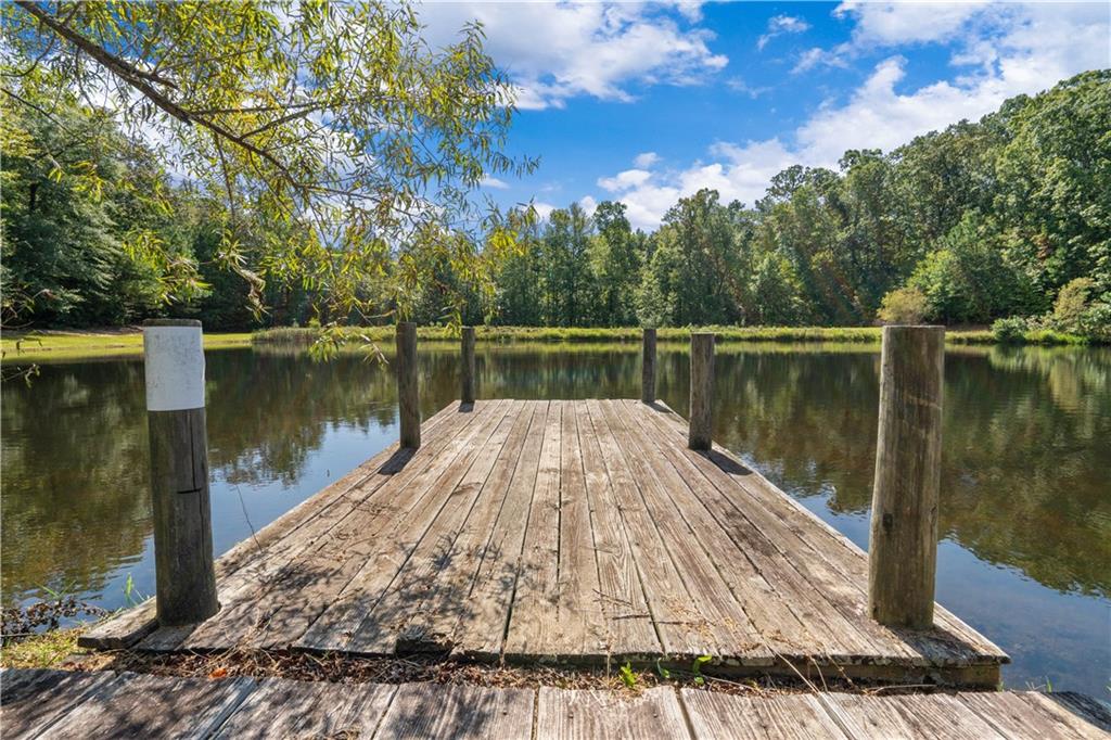 661 Wildcat Road Buchanan, GA 30113 - Photo 8 of 51 a lake view with a wooden bridge