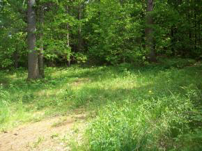 292 River Road Piermont, NH 03779 - Photo 14 of 15 Gallery Image 14