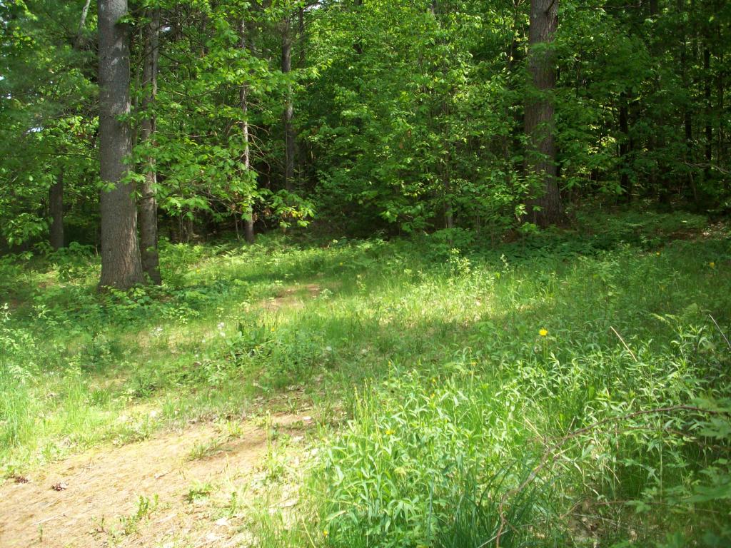 292 River Road Piermont, NH 03779 - Photo 6 of 15 Gallery Image 6
