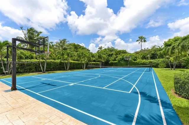 a picture of palm trees